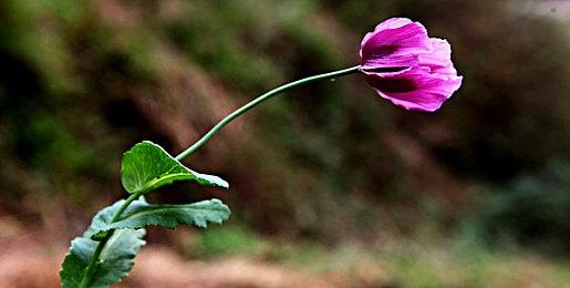 动视：正在调查和修复《使命召唤：战区2》服务器问题 